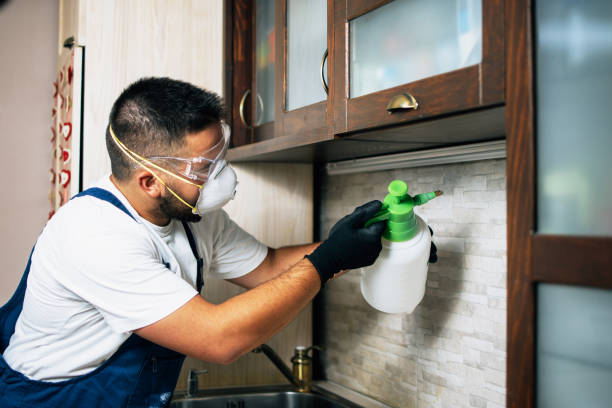 Best Pest Removal Services  in Tiptonville, TN