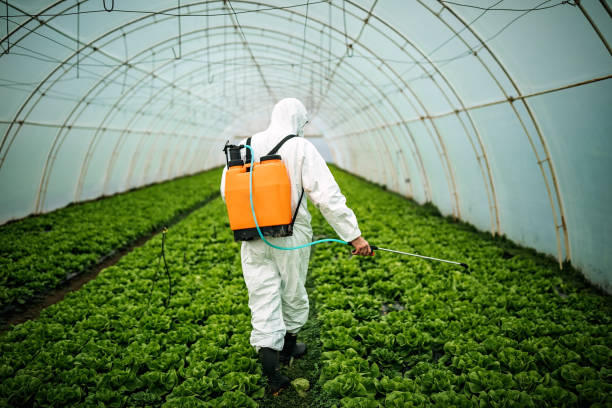Best Best Pest Control Companies  in Tiptonville, TN